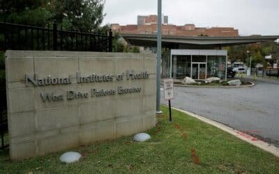 NIH to finish active research subsidies related to LGBTQ+, dei studies NIH to finish active research subsidies related to LGBTQ+, dei studies