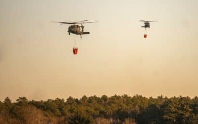 Suspicion of the cause of the forest fires of Long Island was a resident who made s'mores: the police