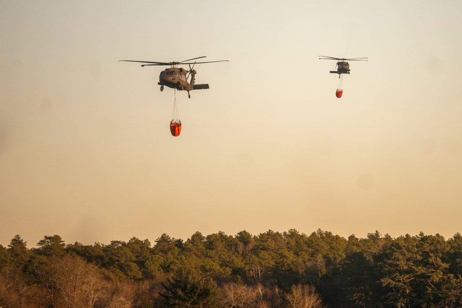 Suspicion of the cause of the forest fires of Long Island was a resident who made s'mores: the police