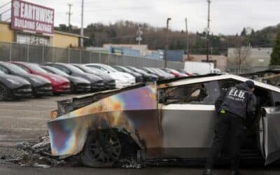 Trump suggests that Tesla Vandals should be sent to prison in El Salvador