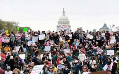 Huge crowds gather in "hands outside" manifestations throughout the country in protest for the Trump administration