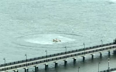 Tourist helicopter crashes in the Hudson River in New York City, the 6 on board killed