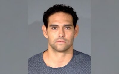 Former NFL star Mark Sanchez released from hospital, booked on felony assault Former NFL star Mark Sanchez released from hospital, booked on felony assault