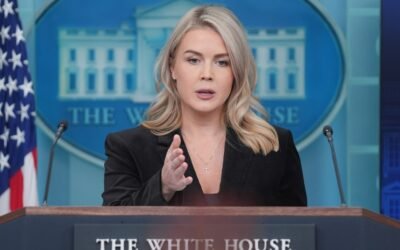 ICE arrests woman with family connection to White House press secretary Karoline Leavitt