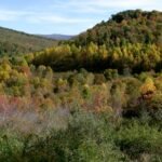 Missing West Virginia coal miner found dead after nearly a week trapped underground: Governor