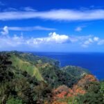 Police investigate after American man found fatally stabbed in Tobago