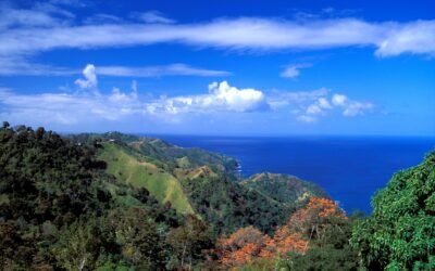 Police investigate after American man found fatally stabbed in Tobago