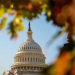 With a year to go until Election Day, Tuesday's results could shape the 2026 midterms